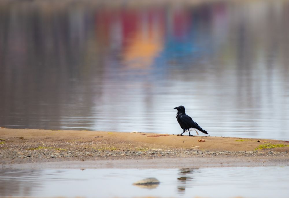 Photograph by Evgenia Loskutova