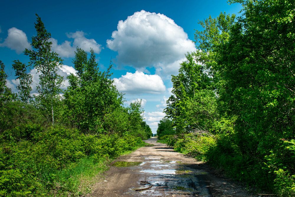 Photograph by Ольга Одинцова