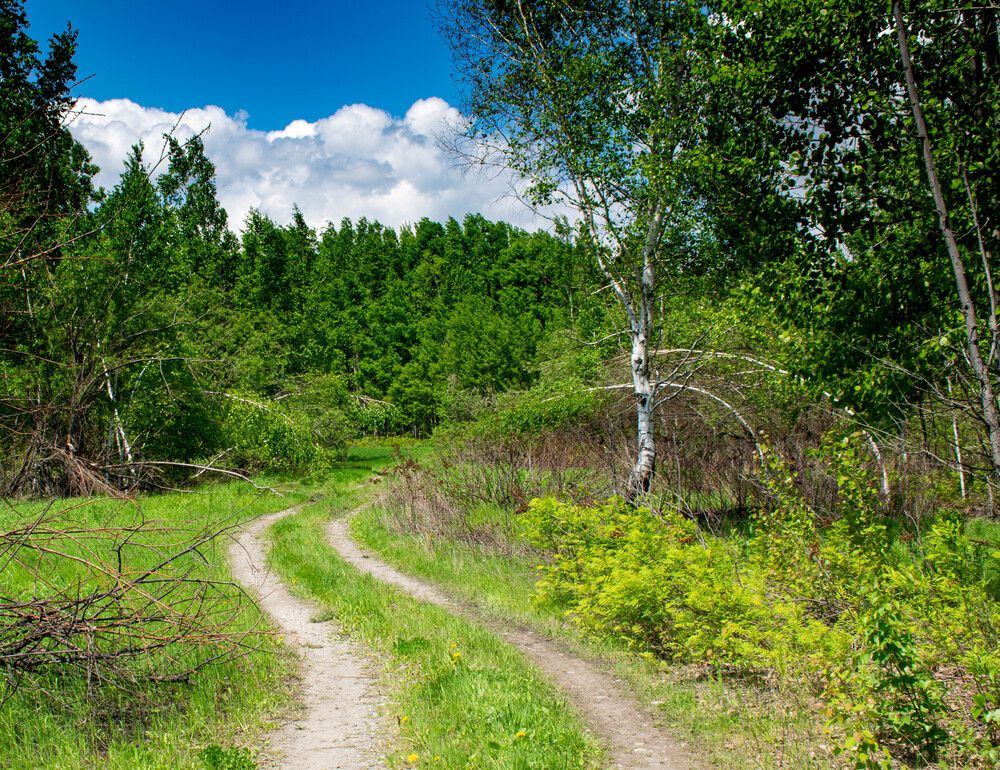 Photograph by Ольга Одинцова