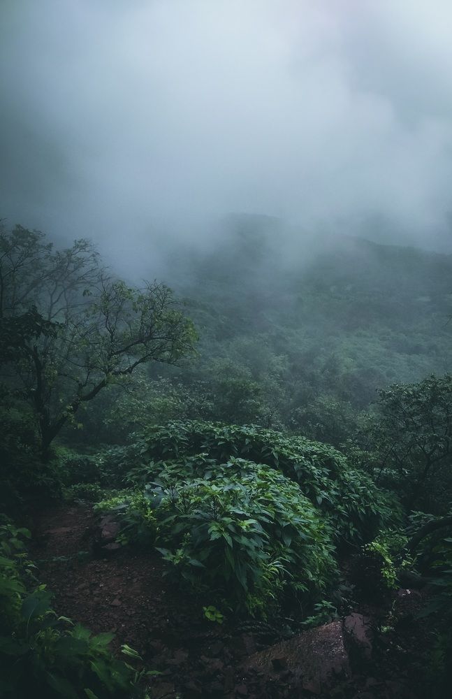 Photograph by Mahesh Varade