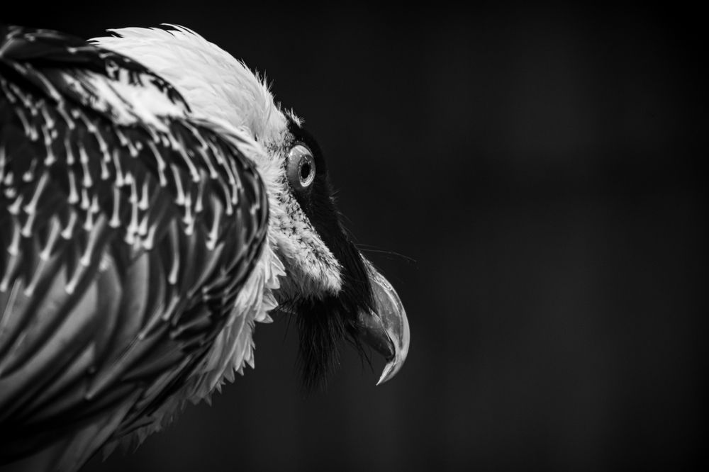 Photograph by Елена Берсенёва