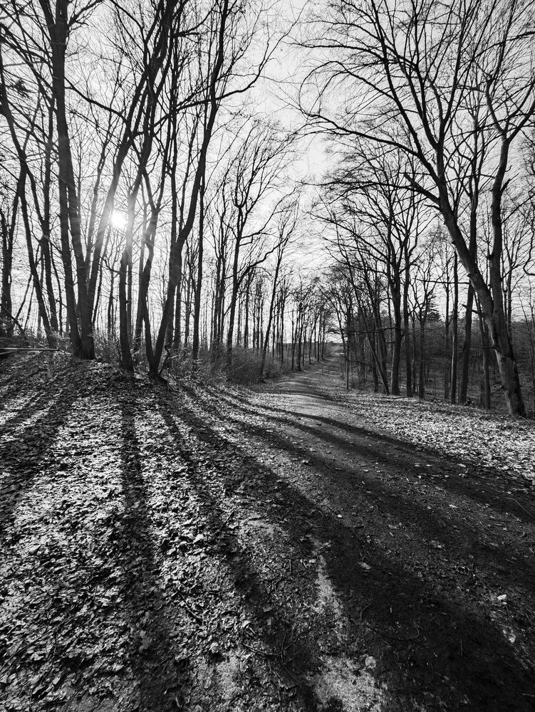 Photograph by Mahesh Varade