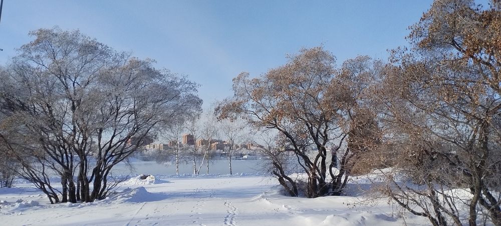 Photograph by Ирина Корнева