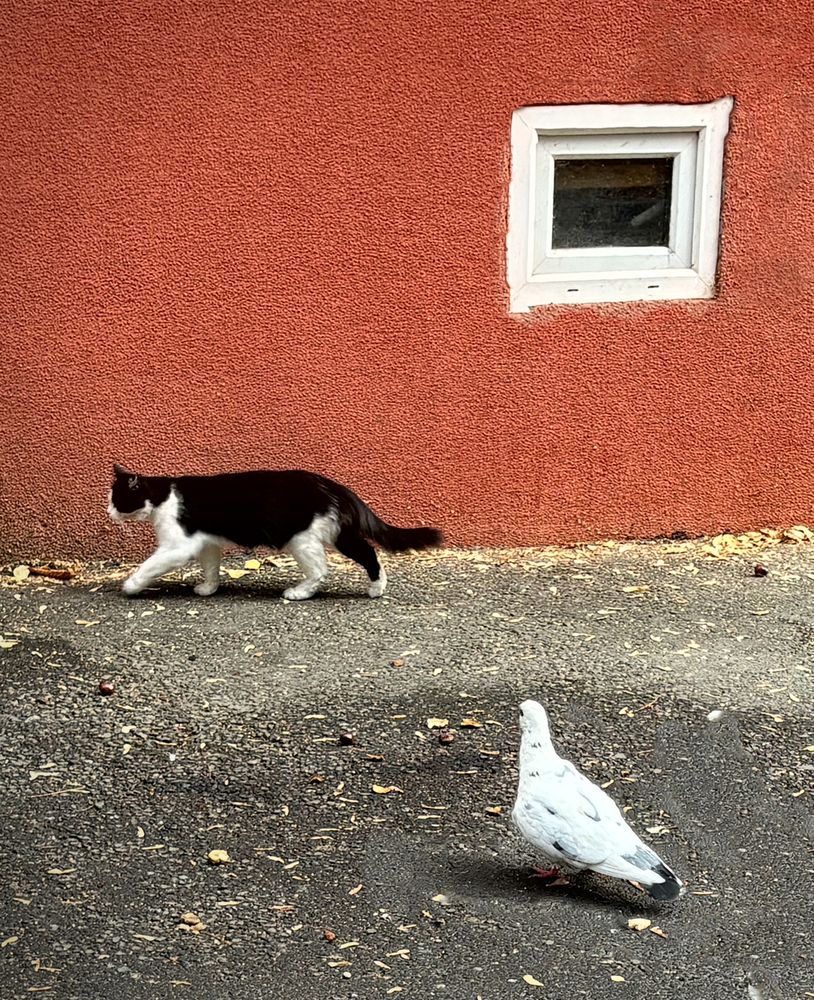 Фотография автора Графов Борис