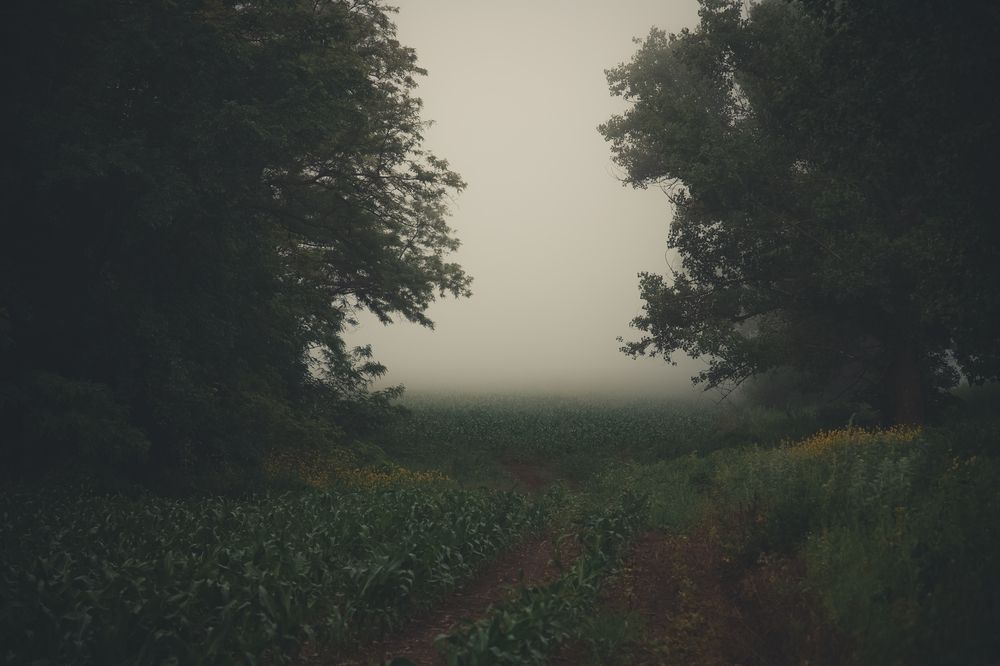 Photograph by Evgenia Loskutova