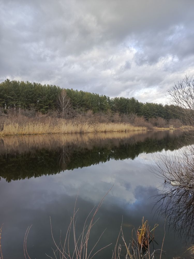 Фотография автора Ольга Петрова