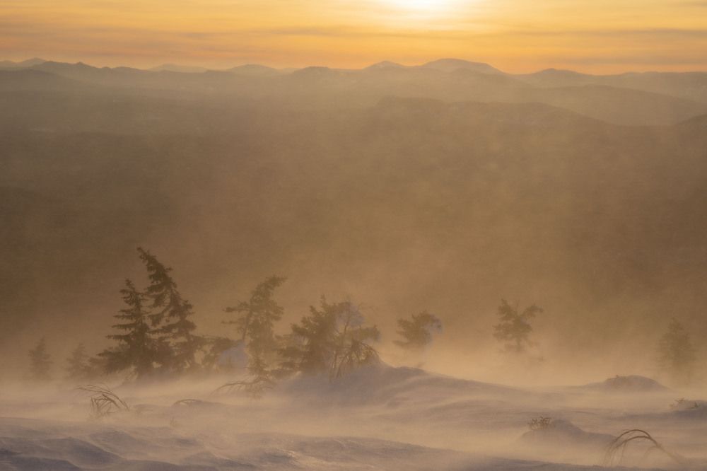 Photograph by Елена Перминова