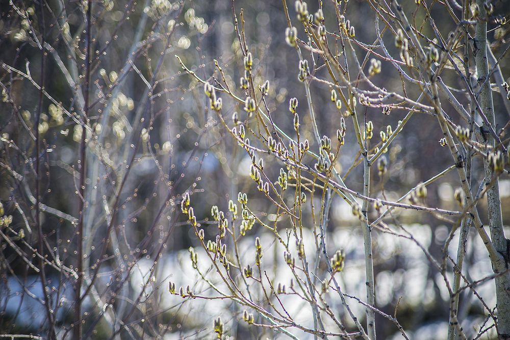 Фотография автора Коваленко Елена