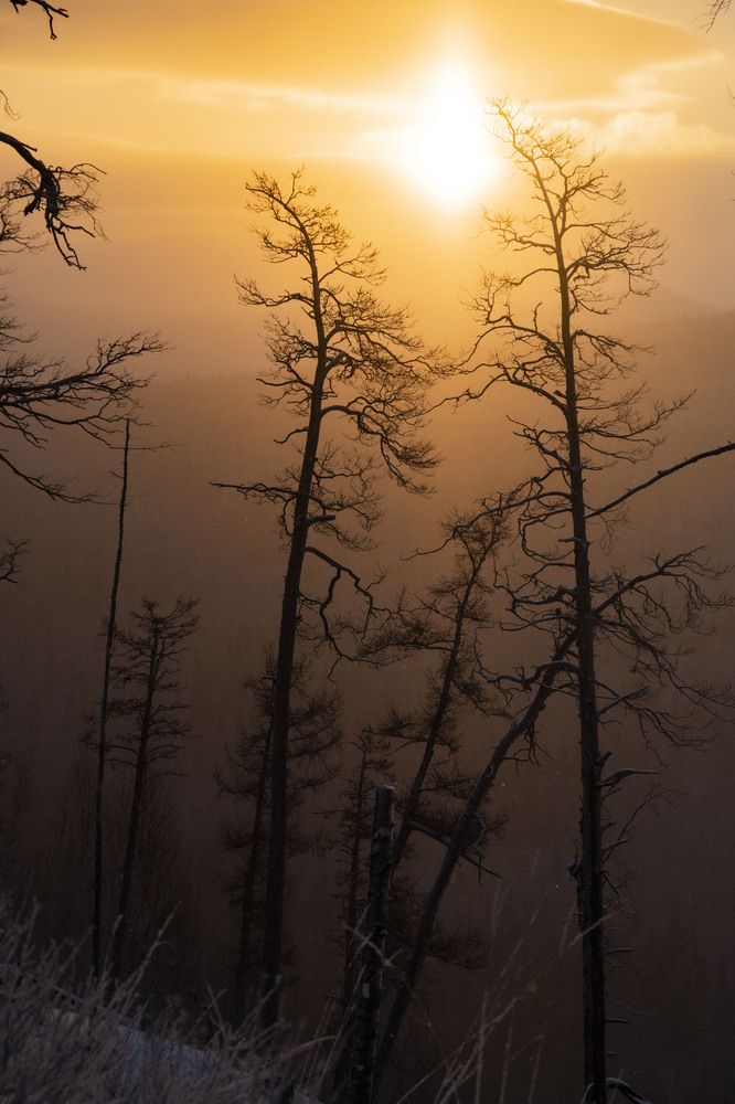 Photograph by Елена Перминова