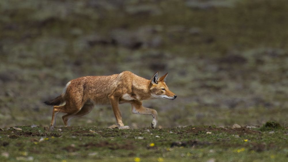 Photograph by Turgay Uzer