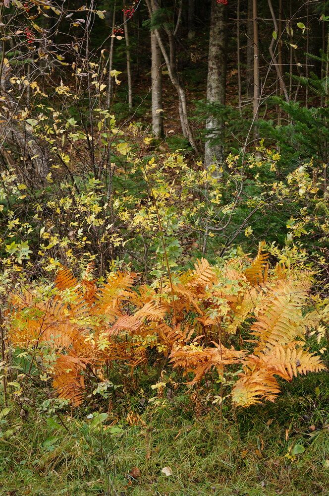 Photograph by Евгения Чехова