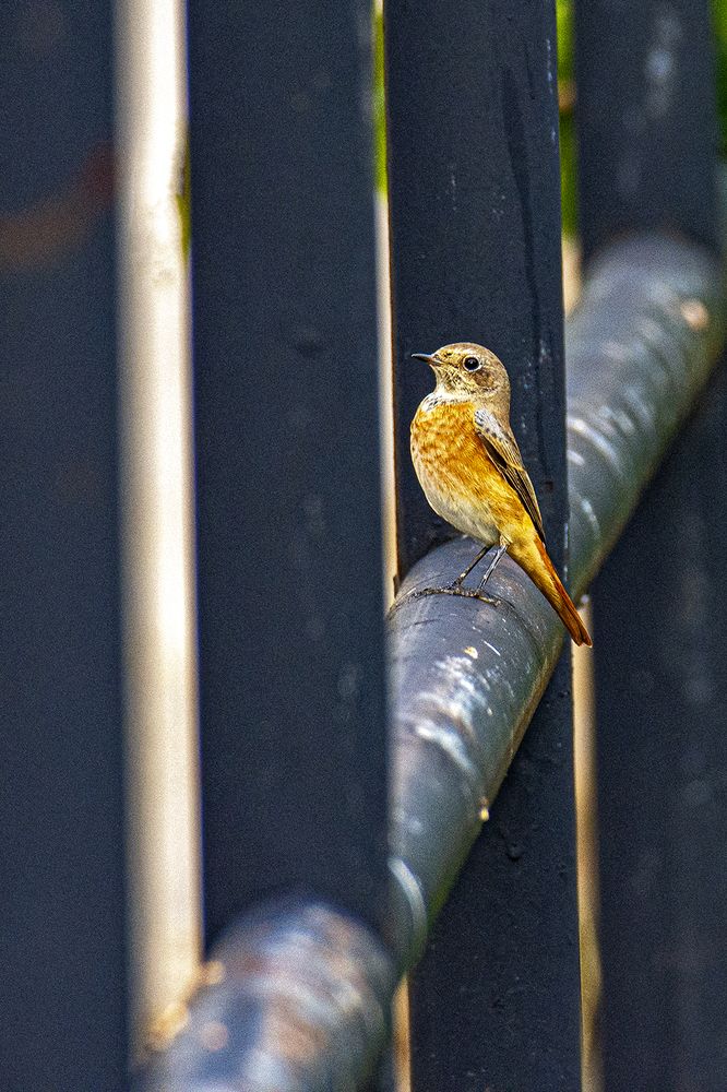 Photograph by Slavko Rošul