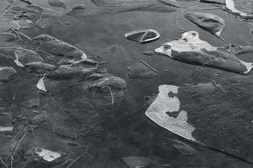 Фотография автора Алена Чёрная