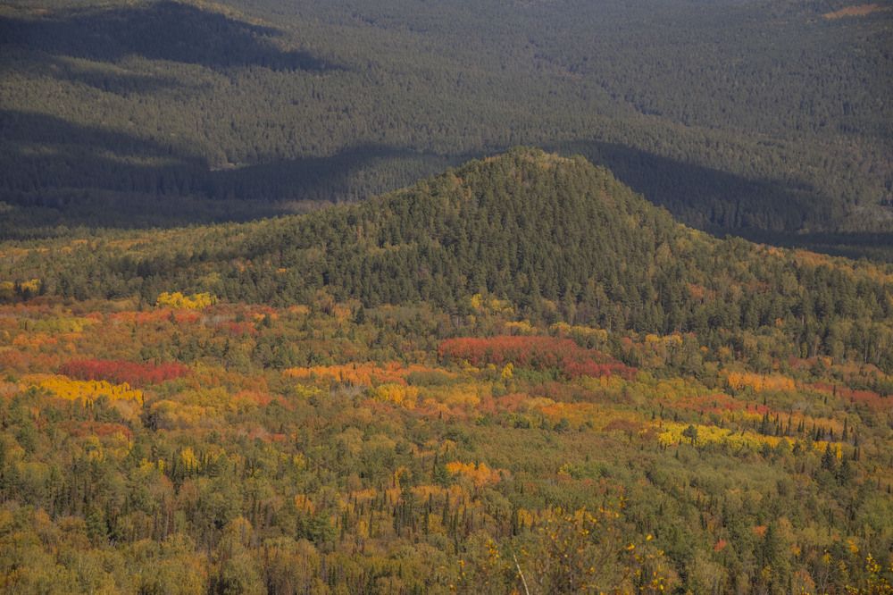 Photograph by Елена Перминова