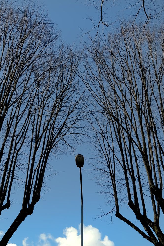 The soul's voice - op.102576056070111030203