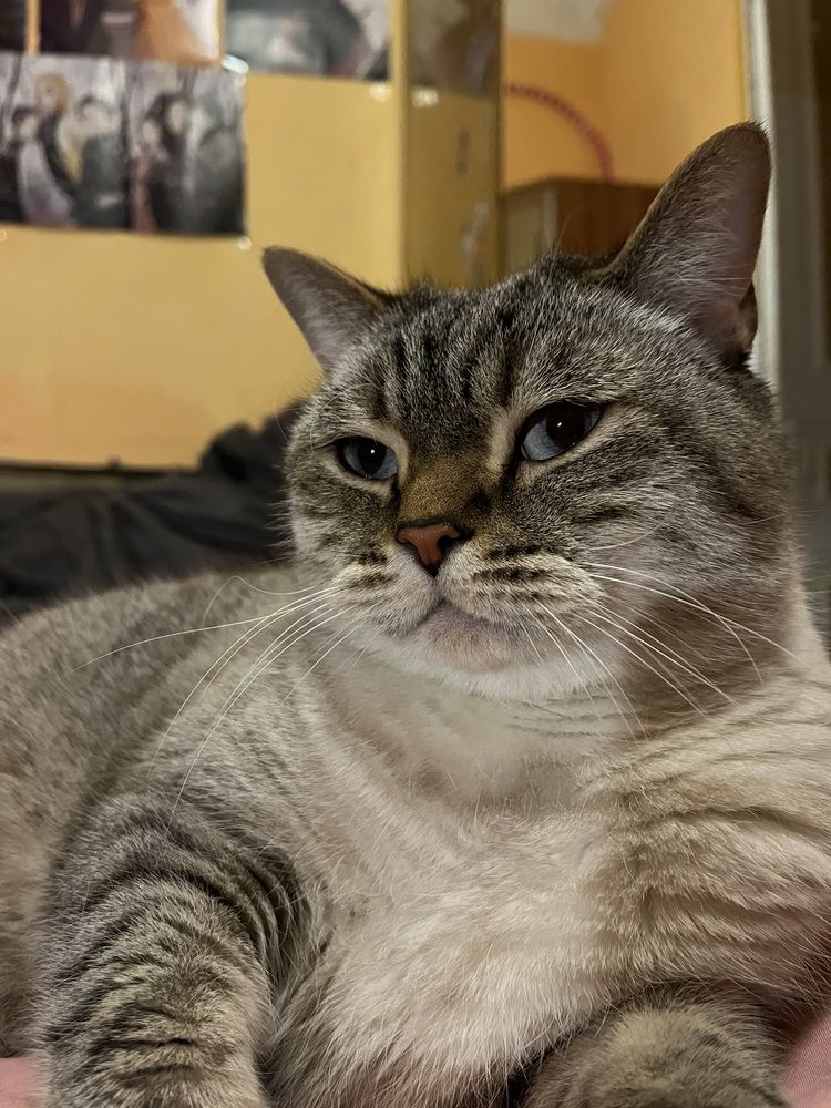 Photograph by Алина Мец