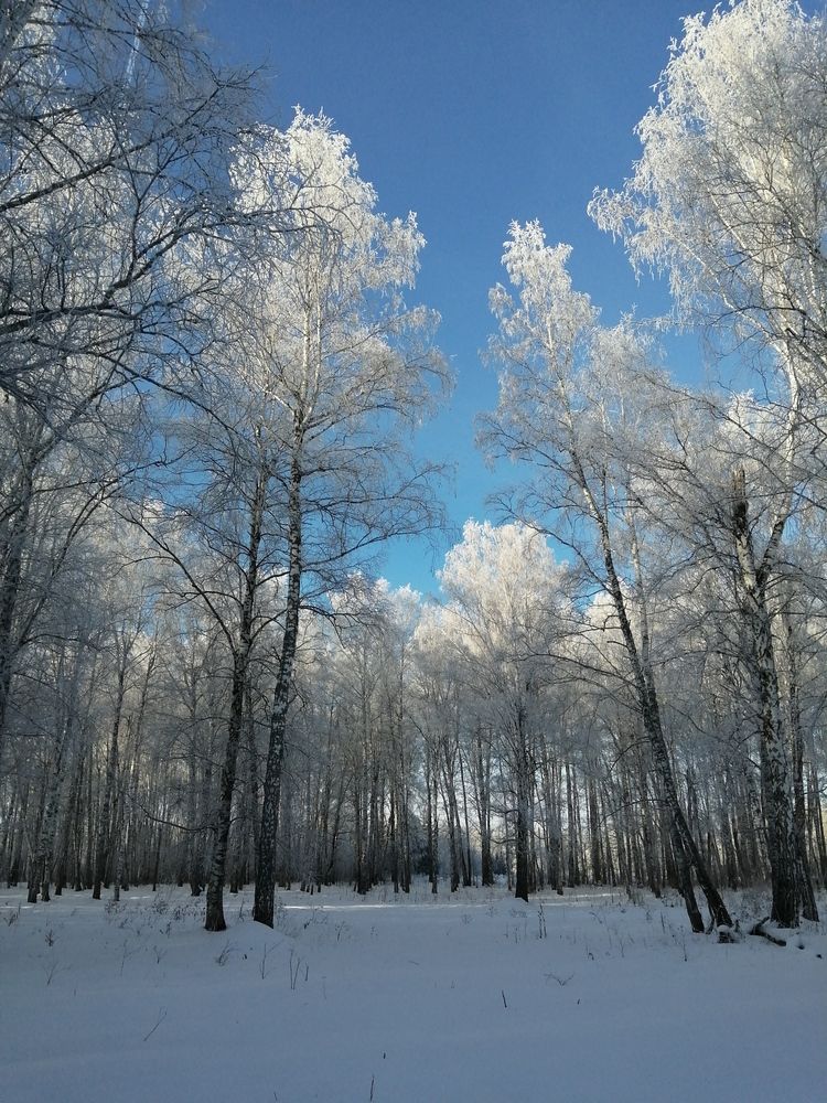 Photo #11801311