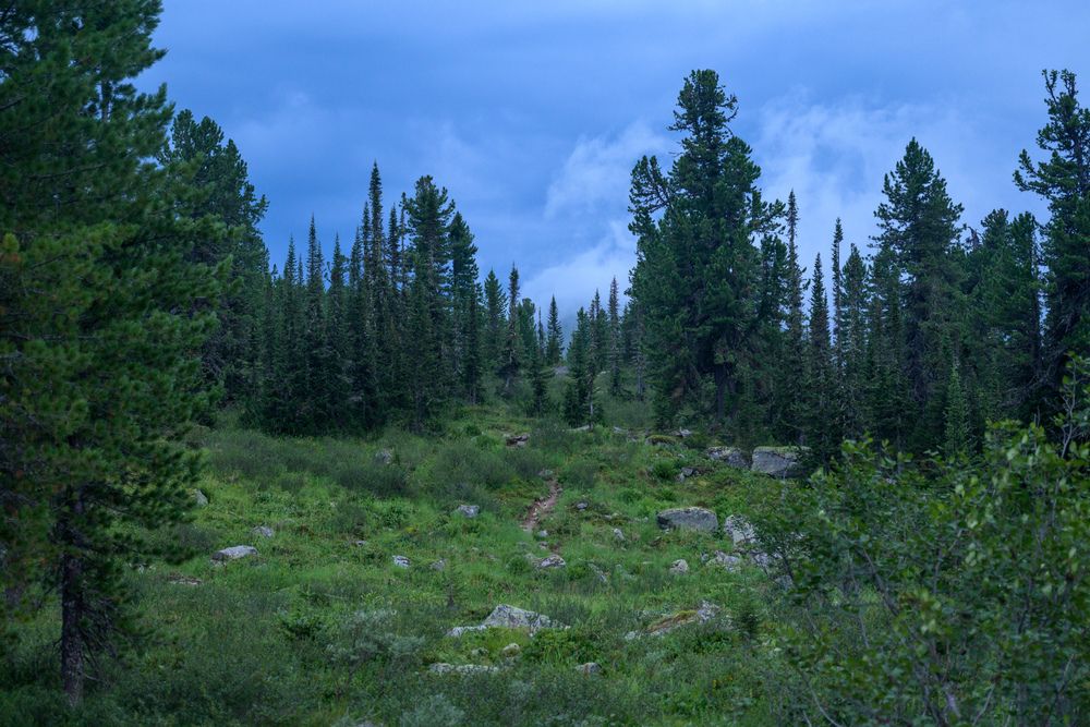 Photograph by Евгения Супрыгина