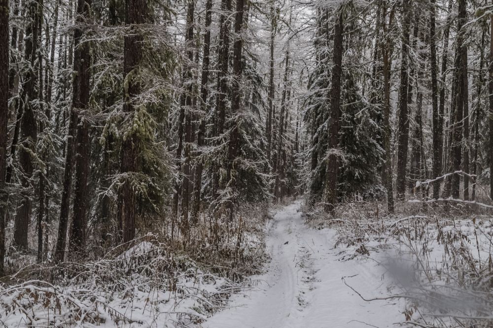 Photograph by Елена Перминова