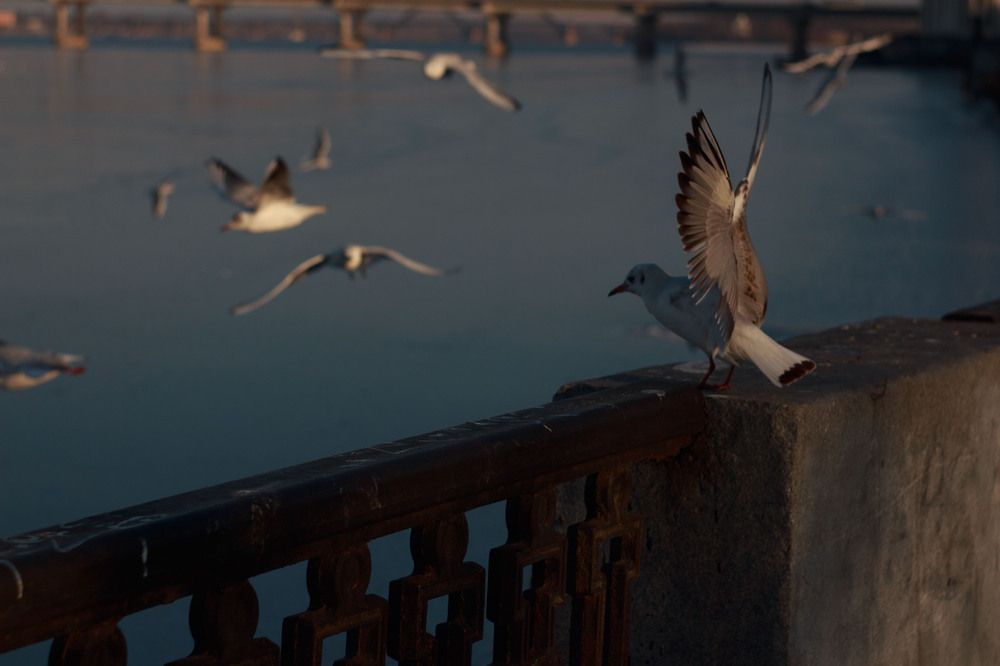 Photograph by Нелли