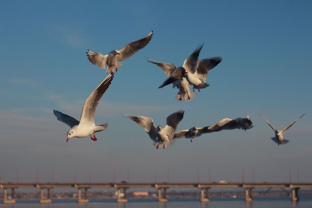 Photograph by Нелли