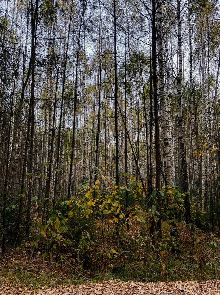 Photograph by Анна Леонова