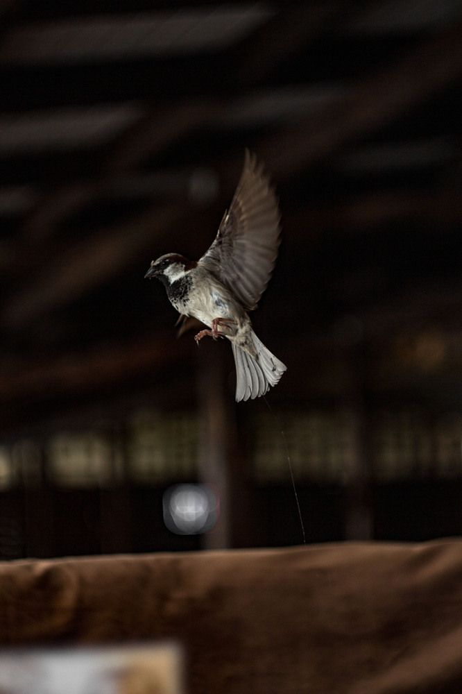 Photograph by Нелли