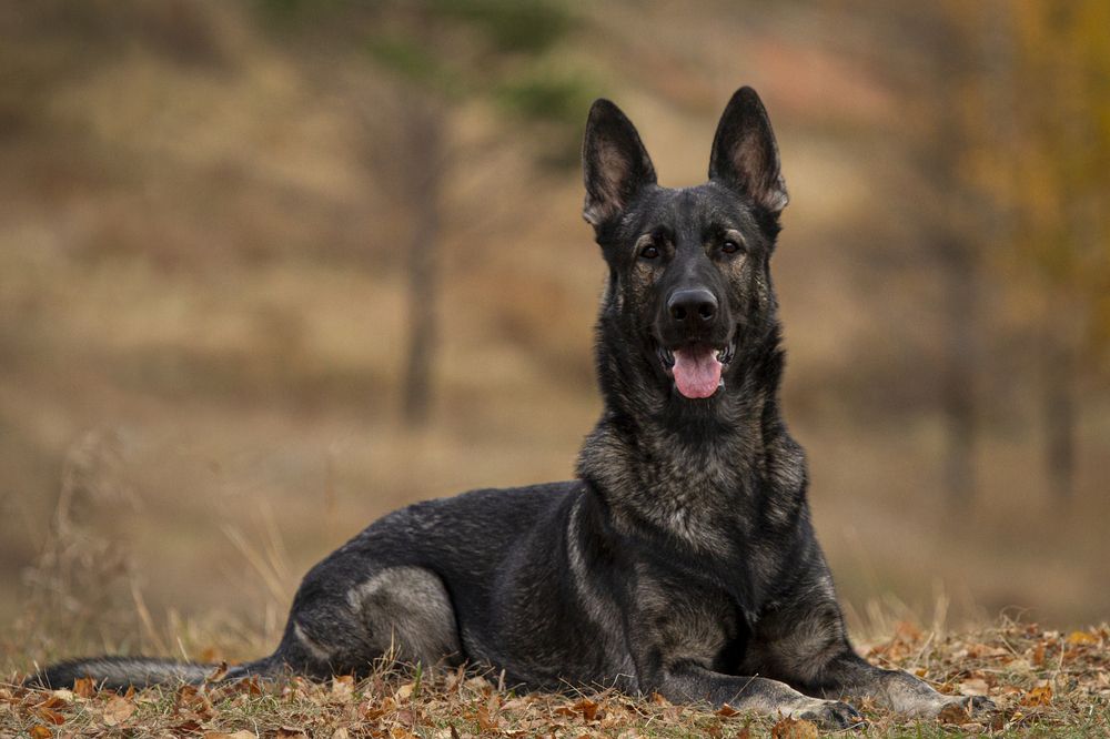 Photograph by Эльнара Исаева