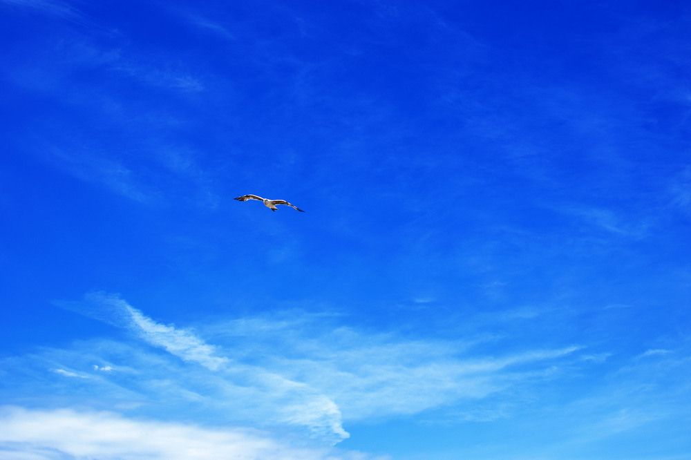 Photograph by Simone Ciulli