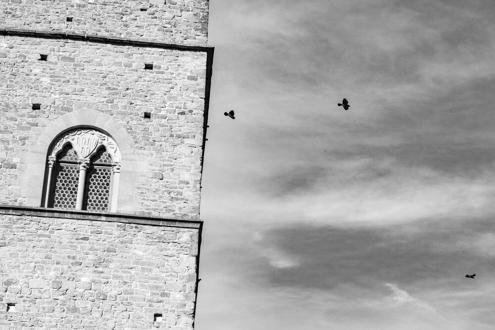 Photograph by Simone Ciulli