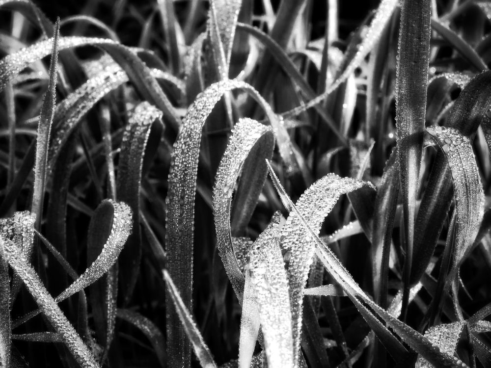 Фотография автора Екатерина Солохина