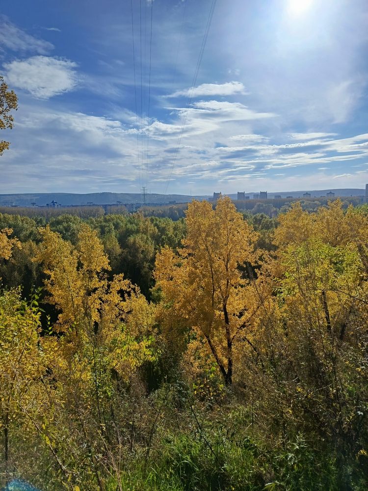 Фотография автора Ольга Петрова
