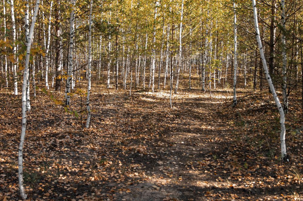 Photograph by Дарья Улюсова