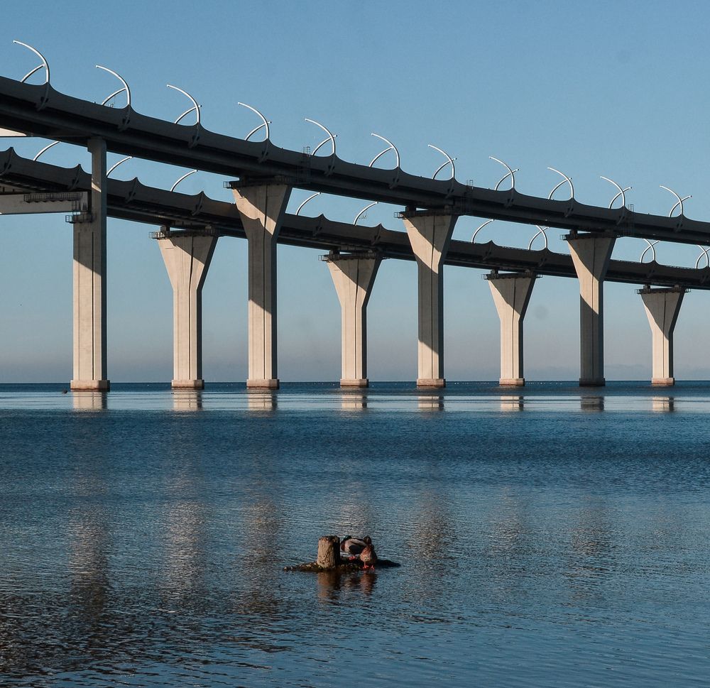 Photograph by Дайана