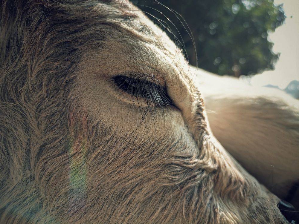 Photograph by Harshit Maurya