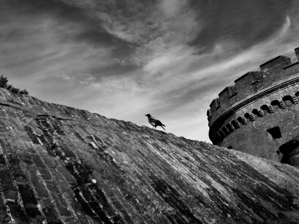 Photograph by Зорин Миша