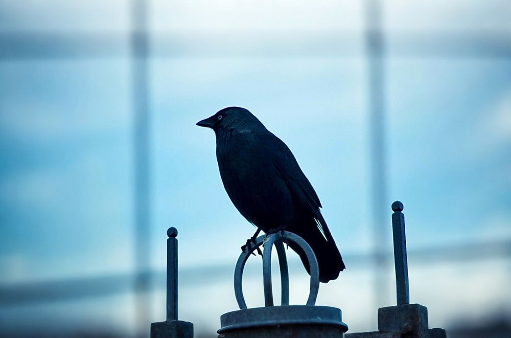 Photograph by Марина