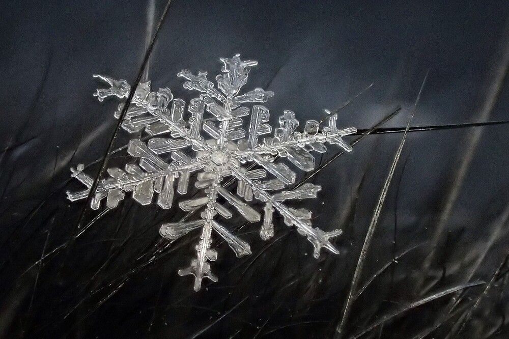 Звезды падают. Я знаю