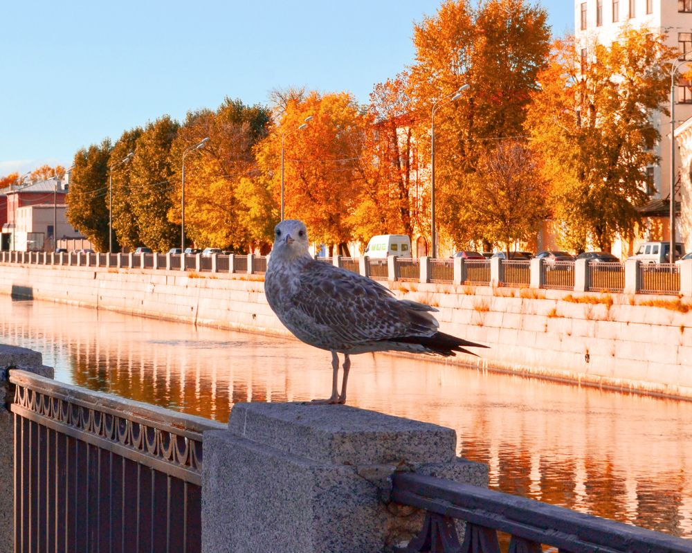 Photograph by Дайана