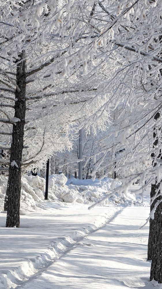 Фотография автора Марина Куркина