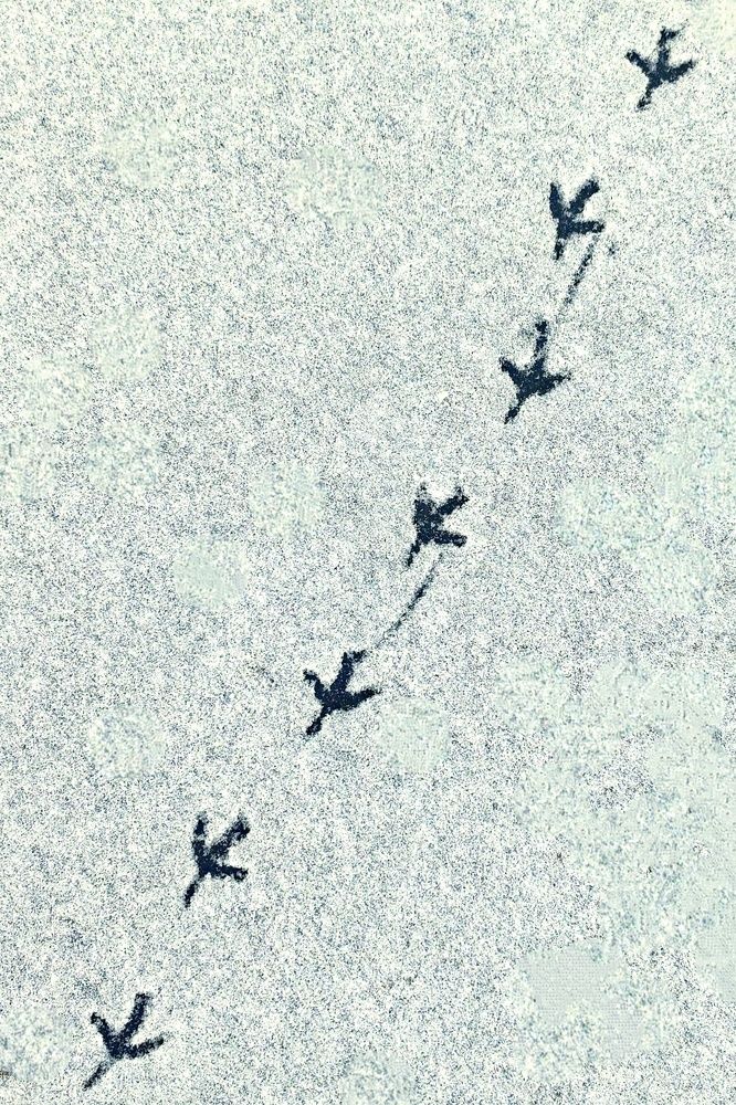 Фотография автора Валерий Жданов