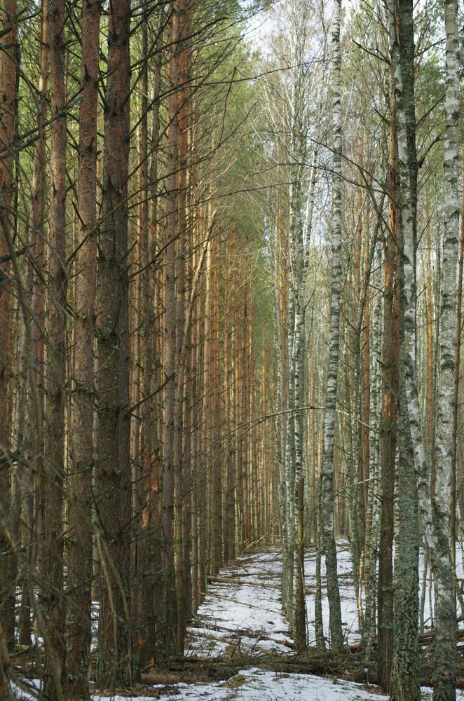 Photograph by Марина