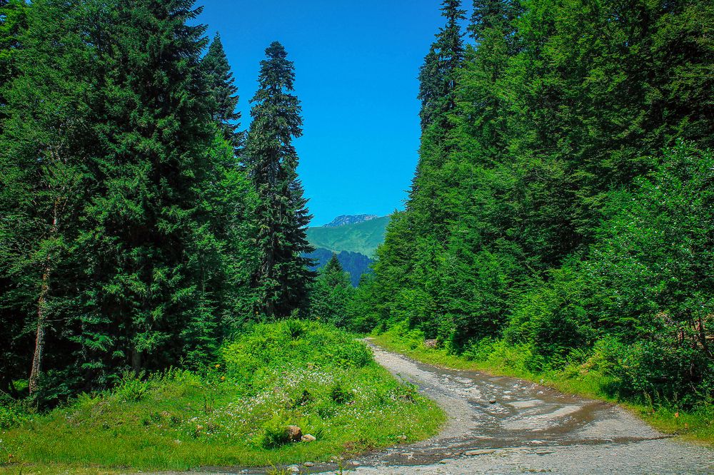 Photograph by Екатерина Пантелеева