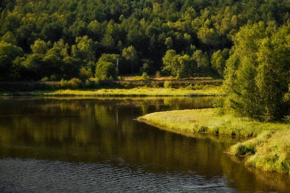 Photograph by Елена Ласун