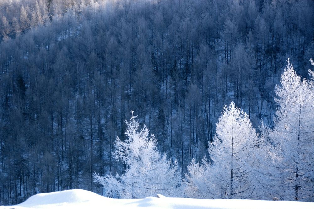 Photograph by Елена Ласун