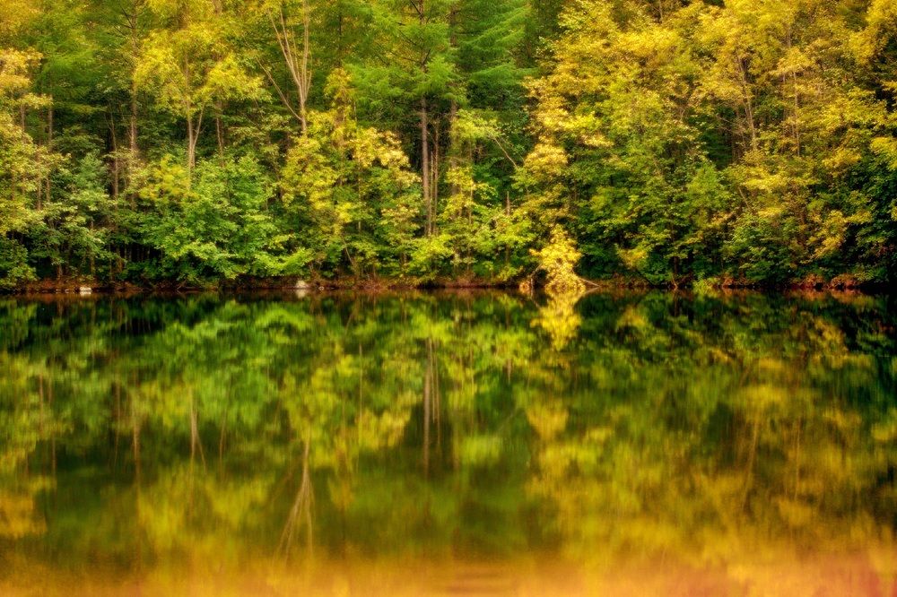 Photograph by Елена Ласун