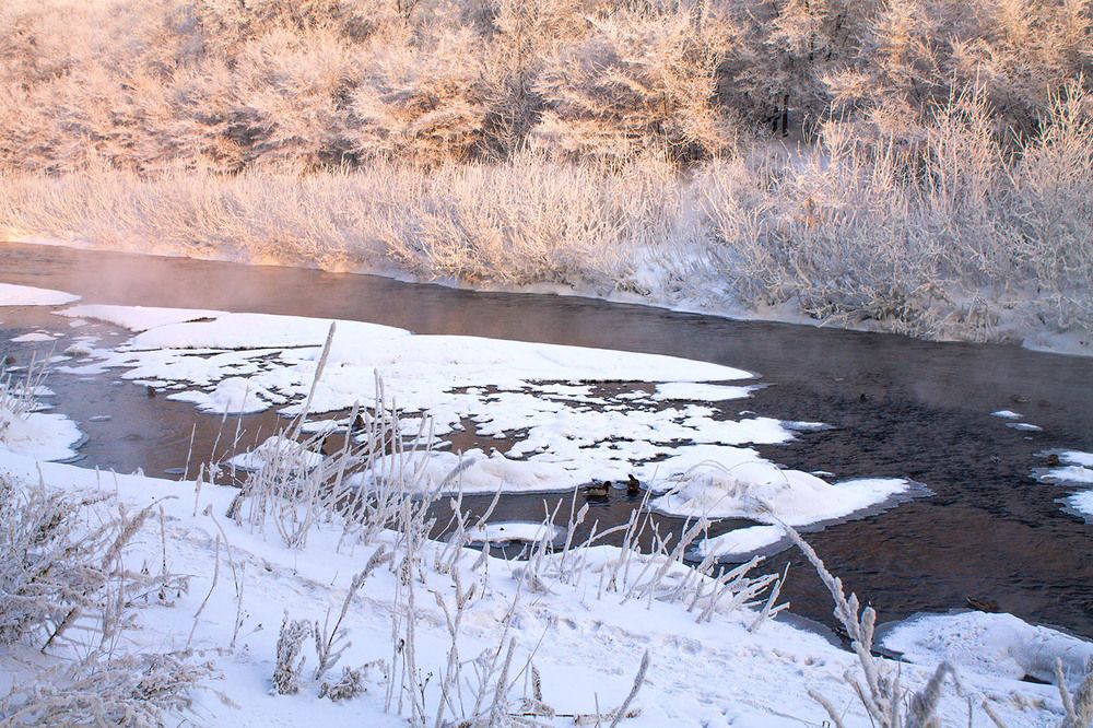 Photograph by Курочкина Диана