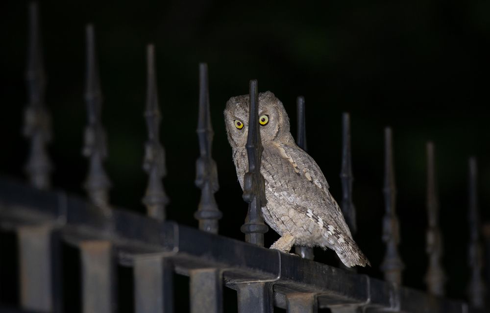 Photograph by Николай Абрамов