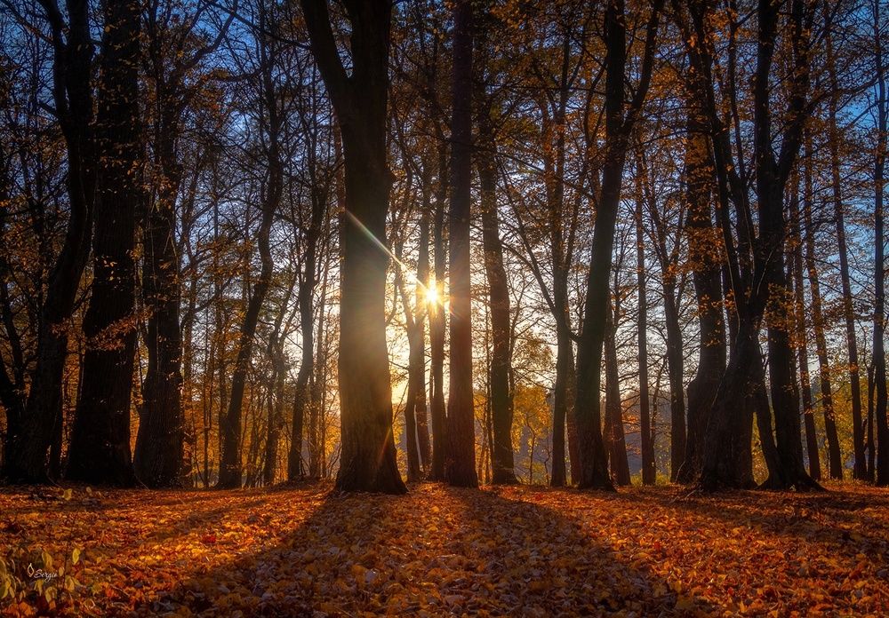 Photograph by Серж Домбровский