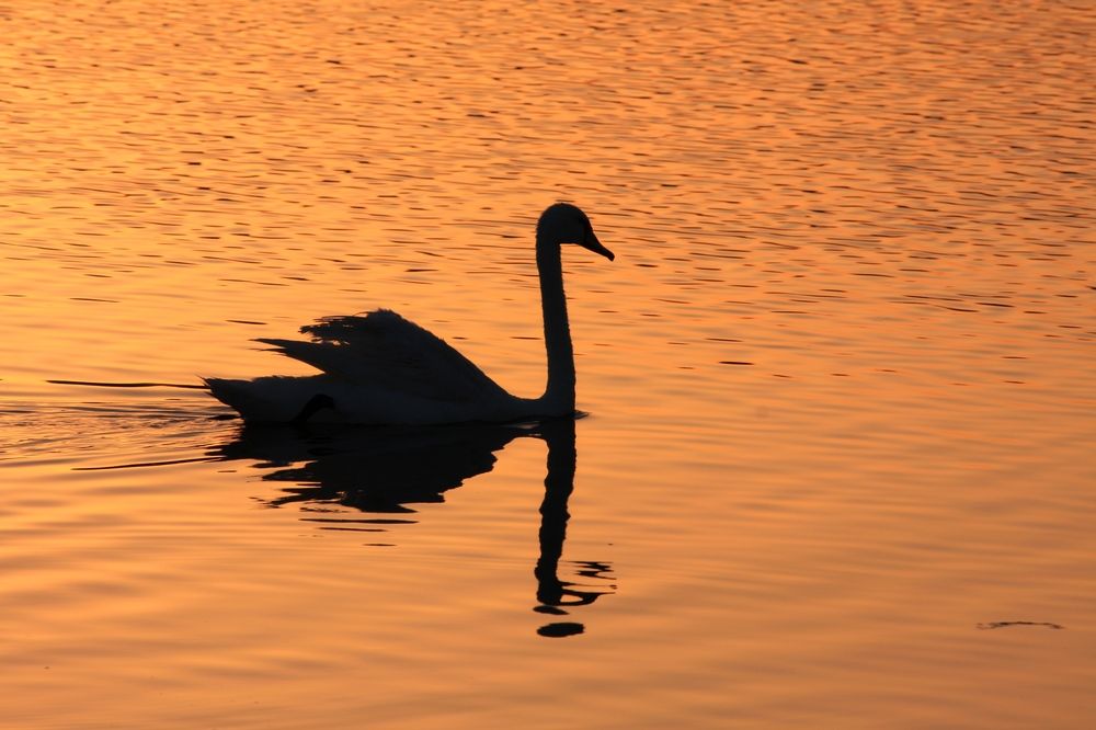 Photograph by Сергей Христинич